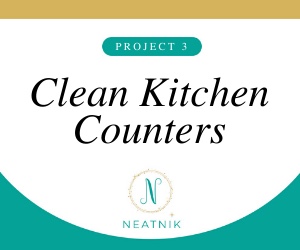 Project of the Day #3: Clean Kitchen Counters
