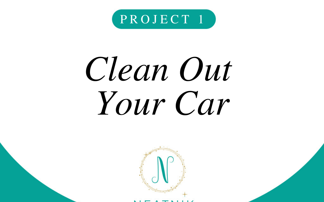 Project of the Day #1: Clean Out Your Car